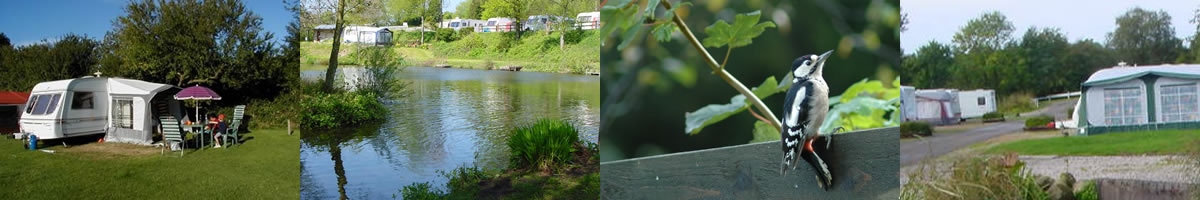 Touring Caravans at Redwell Fisheries Park Touring Caravans at Redwell Fisheries Park